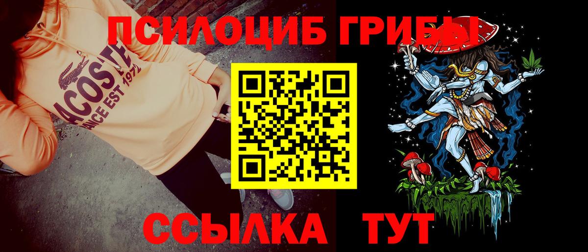 Псилоцибиновые грибы Psilocybine cubensis  Вход с VPN  Орск  Псилоцибиновые грибы Magic Shrooms 
